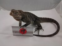 20120608_150523.jpg