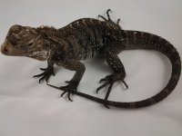 20120608_150248.jpg