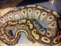 20120413_160756.jpg