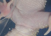 close rotated.jpg