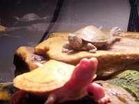 20120222_231548.jpg