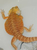 sale 2012 026.jpg