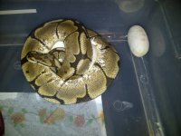 IMG-20120610-00028.jpg