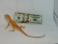 Sale 7-16-12 005.jpg