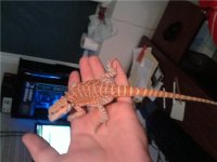 sally pic.jpg