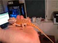 sally pic 2.jpg