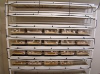 mouse rack 5-15-12 010.JPG