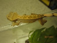 IMG_2814.jpg