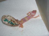 DSCN6756.JPG
