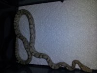 20120813_210438.jpg