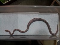 20120714_204602.jpg