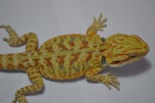 G12_6-20-2012_02.jpg