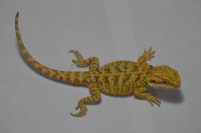 G12_6-20-2012_08.jpg