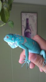 IMAG0679.jpg