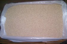 Cat litter 2.jpg