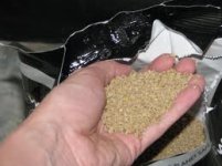 cat litter.jpg
