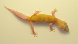 100_2747.jpg