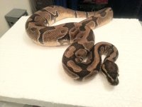 2012-08-05 19.48.29.jpg