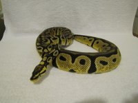 IMG_2372.jpg