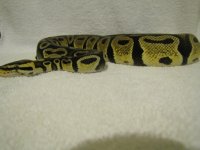 IMG_2376.jpg