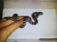 2012-08-28 20.55.41.jpg