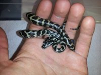 20120828_211515.jpg