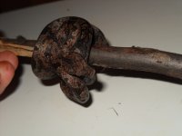 Snake 002.jpg