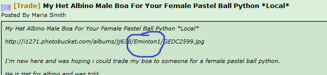 1.PNG