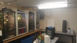 IMAG0442.jpg