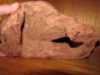 Hide-4-C---FW.jpg