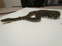 new clutches 025.JPG