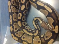 20130218_125355.jpg