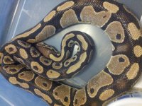 20130218_125451.jpg