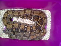 IMG-20121119-00389.jpg