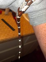 2013-03-02_17-13-37_449.jpg