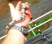 IMG_20130112_181332.jpg