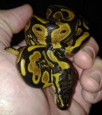 20130119_221554.jpg
