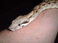 DSCF1773.JPG