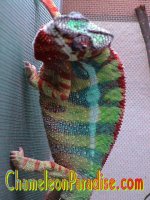 DSC01044.JPG