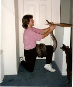 scan0003.jpg