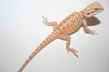 more pics 218.jpg