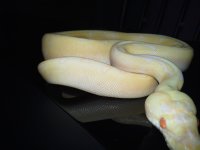 20130207_002759.jpg