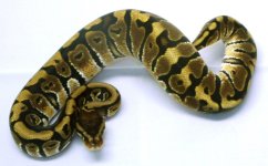 GEDC0192.jpg