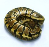 GEDC0032.JPG