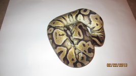 all collection sale 016.jpg