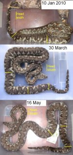 Jan to May Measured.jpg