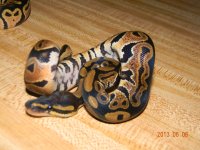 Picture 086.jpg
