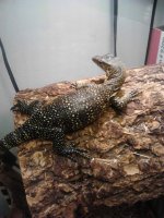 IMG_20130615_230153.jpg
