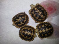 20130706_215251.jpg