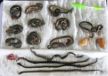 Neonates death board.jpg